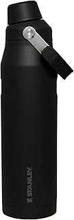 IceFlow Fast Flow Water Bottle | Angled Spout Lid | Lightweight & Leakproof for Travel & Sports | Insulated Stainless Steel | BPA-Free