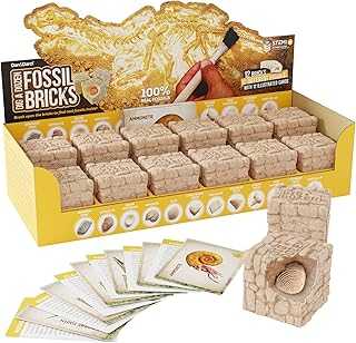 Dan&Darci Dig a Dozen Fossil Bricks - Break Open 12 Blocks and Discover 12 Unique Real Fossils - Basket Stuffers Archaeology Science STEM - Birthday Gift